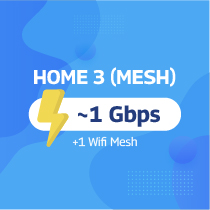 Home 3 (01 Mesh)